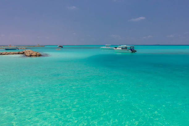 istock Coast of the Indian Ocean 1486341004