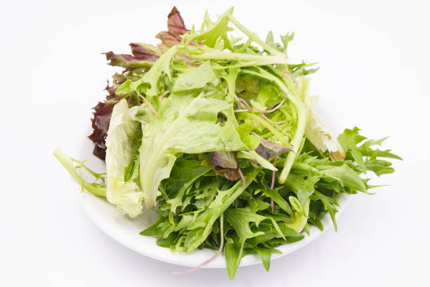 istock Fresh mix green salad on a plate 1486341132