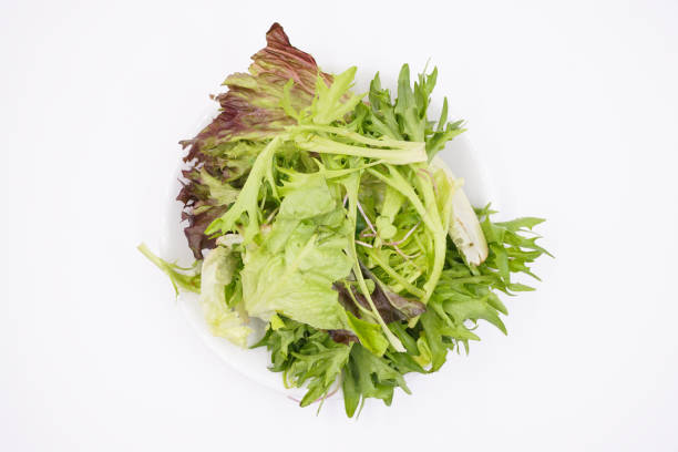istock Fresh mix green salad on a plate 1486341134