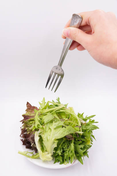 istock Fresh mix green salad on a plate 1486341299