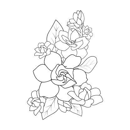 This is a vector gardenia flower drawing. Adobe Illustrator 10 versions, easy to work, is best for coloring page print on demand on others' works,
