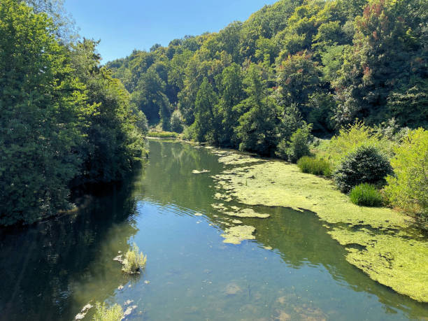 istock A view of the River Terne 1486357536