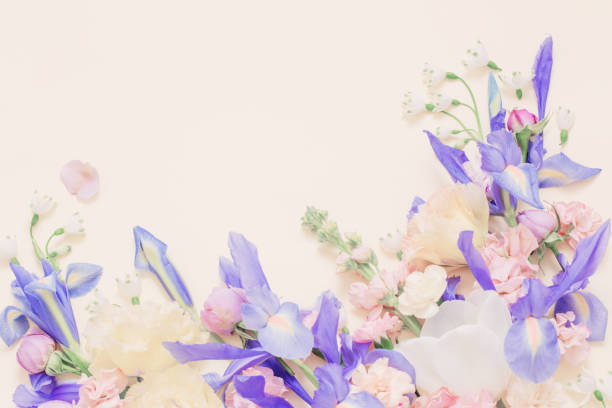 istock beautiful spring flowers on pastel background 1486360627