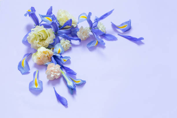 istock beautiful spring flowers on purple background 1486360638