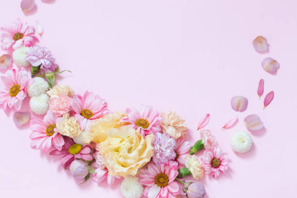 istock beautiful flowers on pink background 1486360667