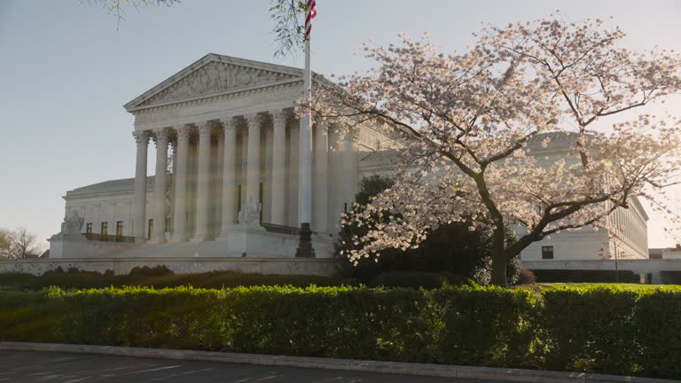 U.S. Supreme Court In Washington D.C. With Flowering Cherry Blossom Tree