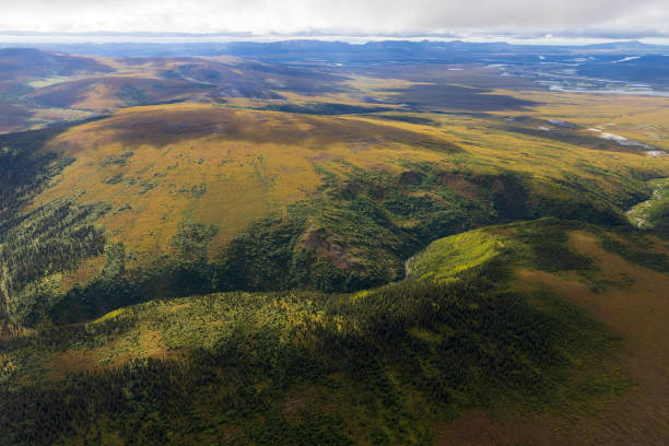 istock Kobuk Valley National Park Landscape 1486369890