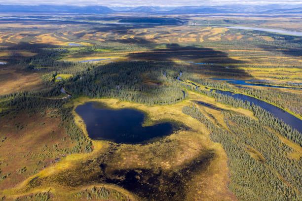 istock Kobuk Valley National Park Landscape 1486371234
