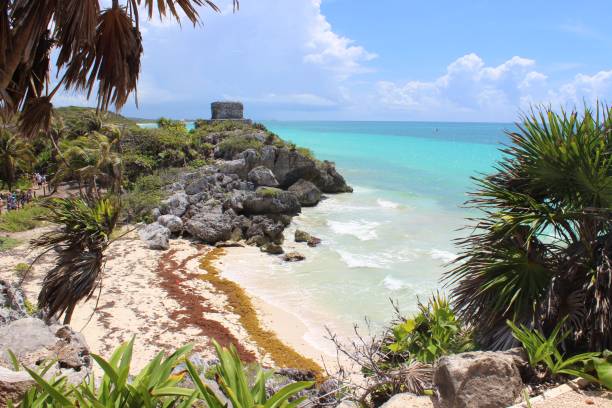 istock Impressive view of a mexican beach in Tulum 1486371371