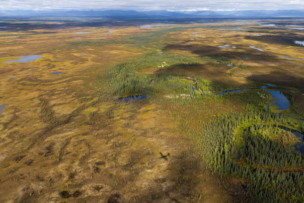Kobuk Valley National Park Landscape