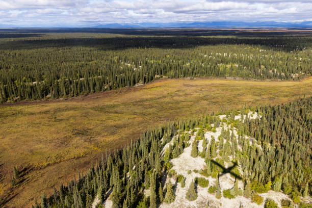 istock Kobuk Valley National Park Landscape 1486371444