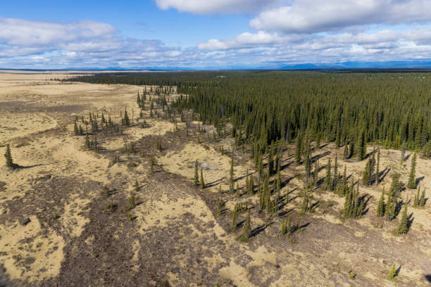Kobuk Valley National Park Landscape