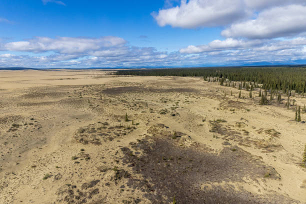 istock Kobuk Valley National Park Landscape 1486371658