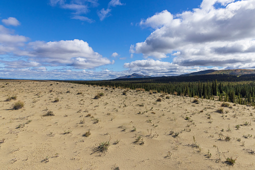 Beautiful landscape view of Kobuk Valley National Park in the arctic of Alaska.