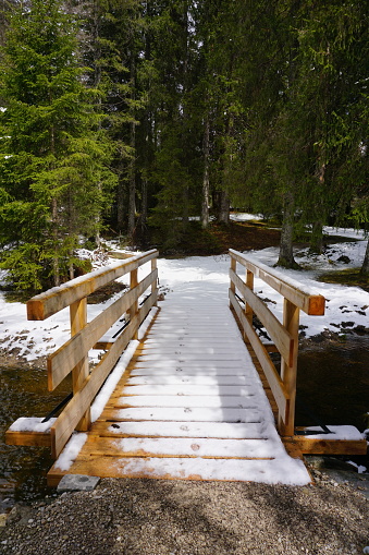 Wooden bridge dusted with snow. Wooden bridge leading to the coniferous forest. Wooden bridge in the forest. Hoofprints in the snow. Bavaria in winter.