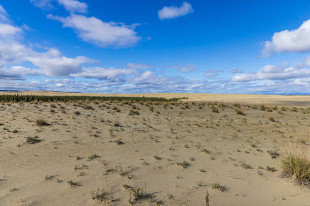 Kobuk Valley National Park Landscape