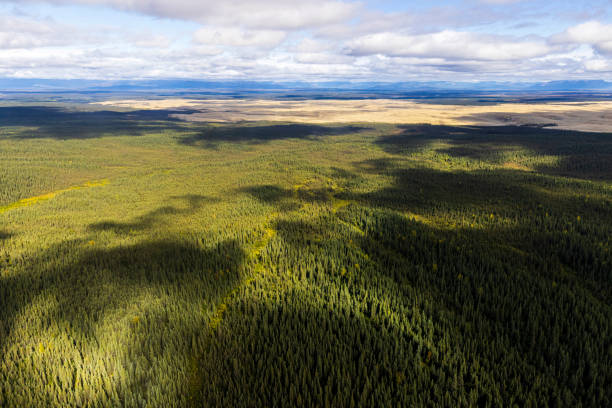 istock Kobuk Valley National Park Landscape 1486372829