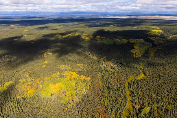 Kobuk Valley National Park Landscape