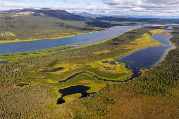 istock Kobuk Valley National Park Landscape 1486372849