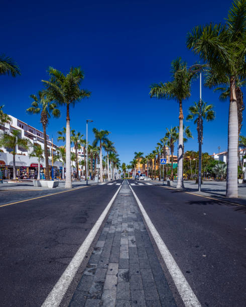 istock Playa de las Americas Tenerife 1486374013
