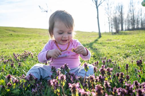 the baby is sitting in the meadow picking flowers