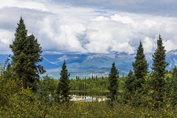 Beautiful landscape view of Lake Clark National Park near Port Alsworth in Alaska.