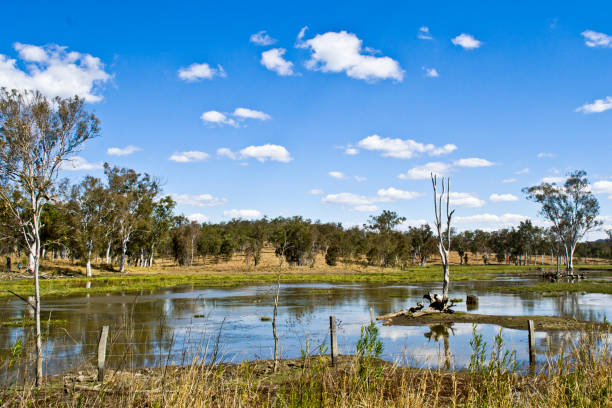 istock Australian Lake, Billabong, and Blue Sky 1486393154