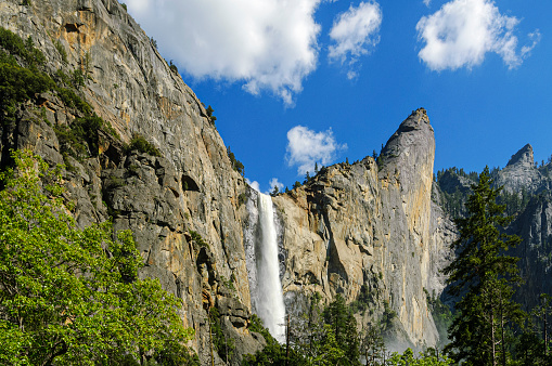 Springtime view of Yosemite's Bridalveil Fall with tree tops in foreground.