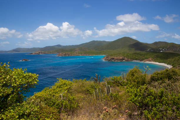 istock U.S. Virgin Islands National Park Landscape 1486397585