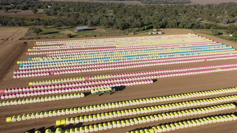 Cotton bales.