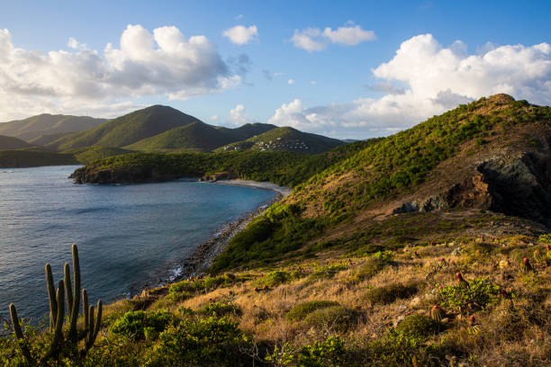 istock U.S. Virgin Islands National Park Landscape 1486398716
