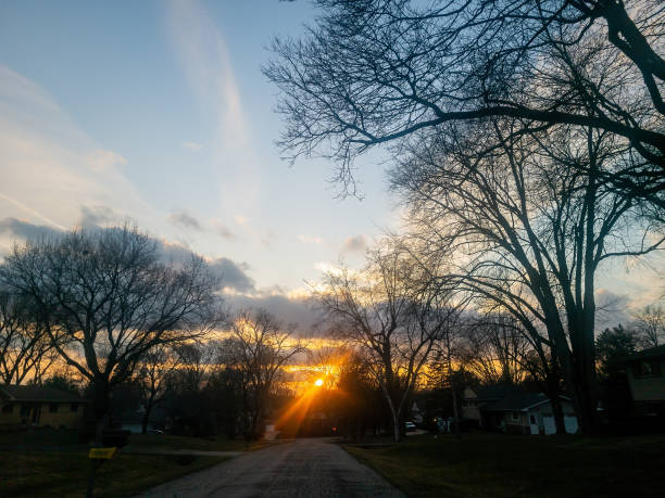 istock Suburban street at sunset 1486400364