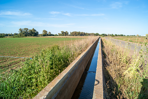Water channel for agricultural irrigation next to a crop field.