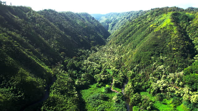 A mountain valley view of the Road to Hana - Muai, Hawaii - stock video