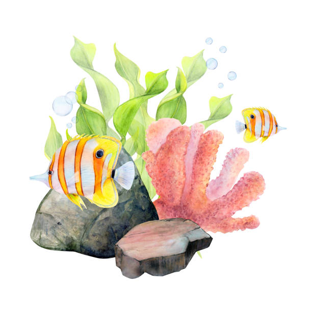 istock Watercolor drawing of ribbon algae, bottom stones, coral, air bubbles and butterfly fish on white background. Underwater picture for illustration, stickers, logo, textile printing 1486414043