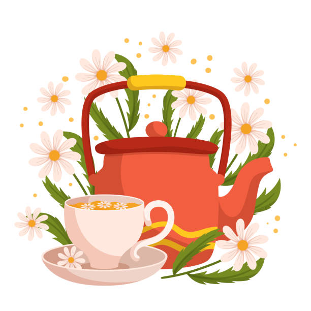 ilustraciones, imágenes clip art, dibujos animados e iconos de stock de té de manzanilla en olla y taza. infusión de hierbas sin cafeína hecha de las flores secas de la planta de manzanilla - tea cup cup china saucer