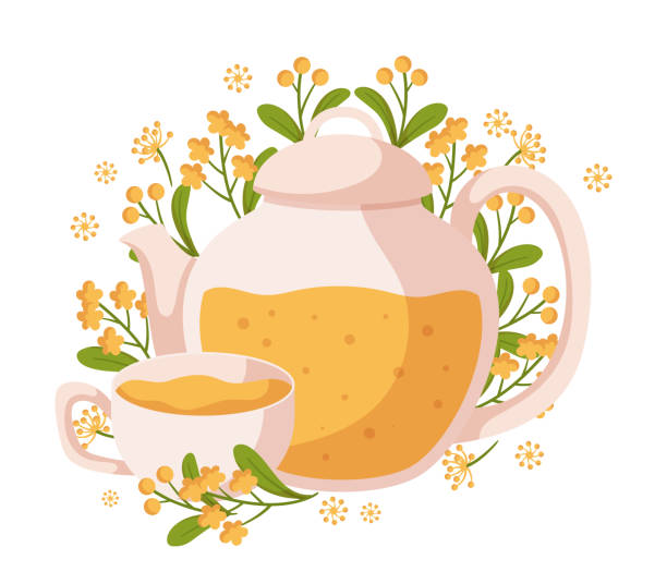 травяной чай - это настой растений, цветов и трав, которые полезны для здоровья и завариваются в горячей воде - green tea tea scented mint stock illustrations