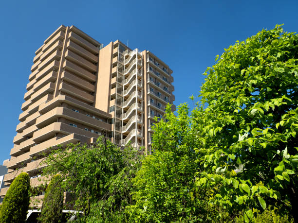 istock Large apartment and fresh green planting 1486419319
