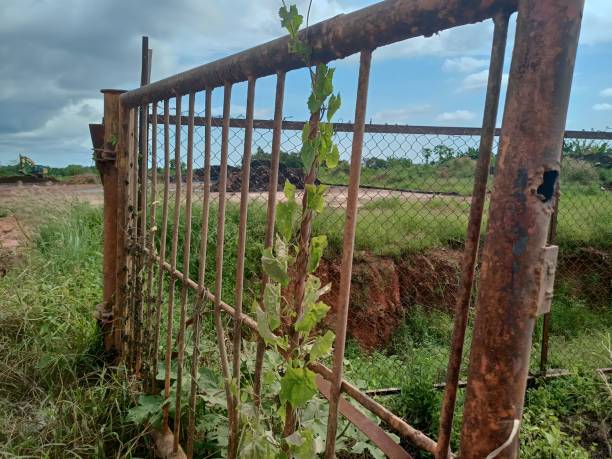 istock a rusty fence that had been neglected 1486424934