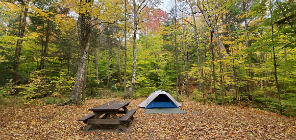 This is a photograph taken on a mobile phone outdoors of a tent campsite in the Adirondack Mountains state park in New York during autumn of 2020.