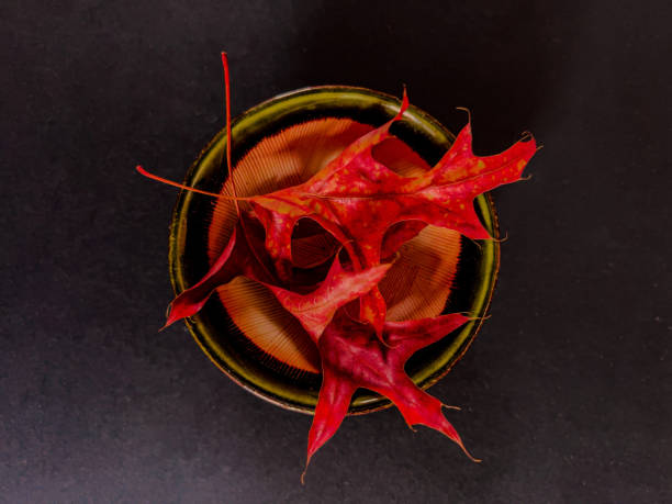 Horizontal high angle extreme closeup photo of two vibrant red Oak leaves in a small round handmade brown ceramic bowl on a black background.