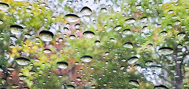 This is a photograph taken on a mobile phone of raindrops on a windshield with trees in the background in during autumn of 2020.