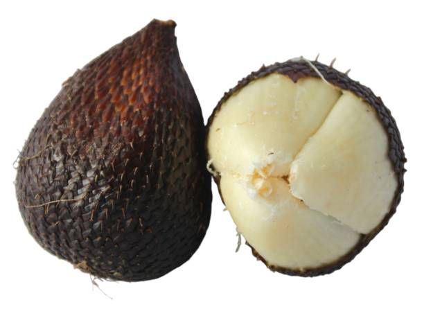 istock Salak or snake fruit isolated on white background 1486442078