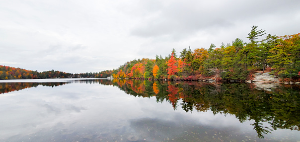 This is a photograph taken on a mobile phone outdoors of Lake Minnewaska in upstate New York on an overcast autumn day in 2020.