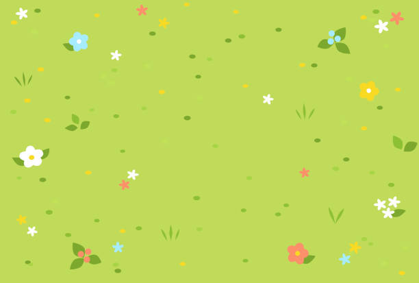 ilustrações, clipart, desenhos animados e ícones de pastagem fofa e colorida sim - spring flower backgrounds field