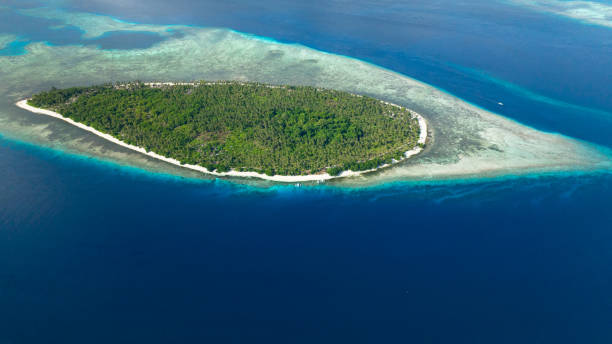 istock Island with beautiful beach. Philippines 1486449748