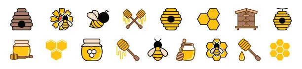 Vector illustration of Honey icon vector