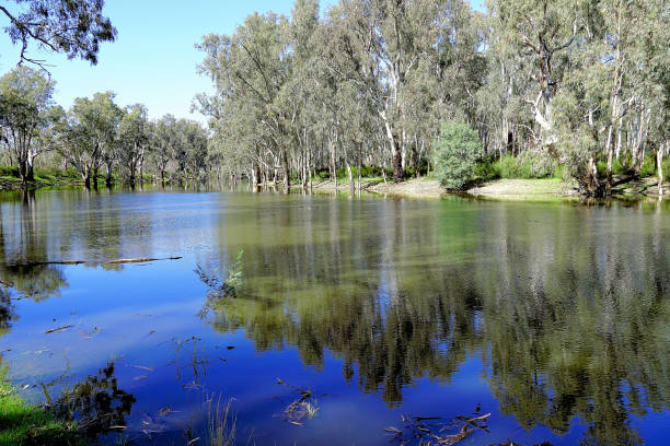istock Lower Moira, Victoria, Australia 1486452578