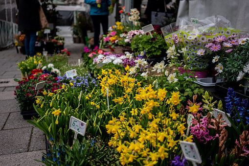 flowers are on vase at street focus on foreground small business horizontal still