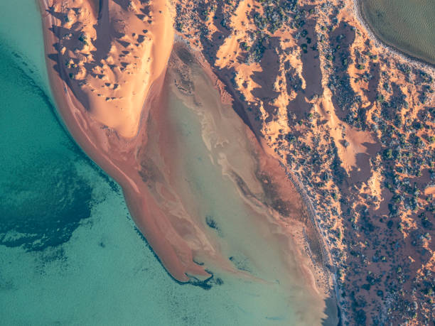 istock Aerial view of sandy coastline 1486460609